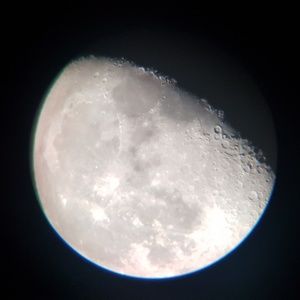 Meet your Posher, Thresia